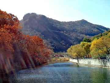 天天彩好彩天天免费，洗发水批发市场